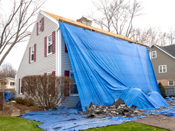 Professional Siding Installation in Dexter, GA